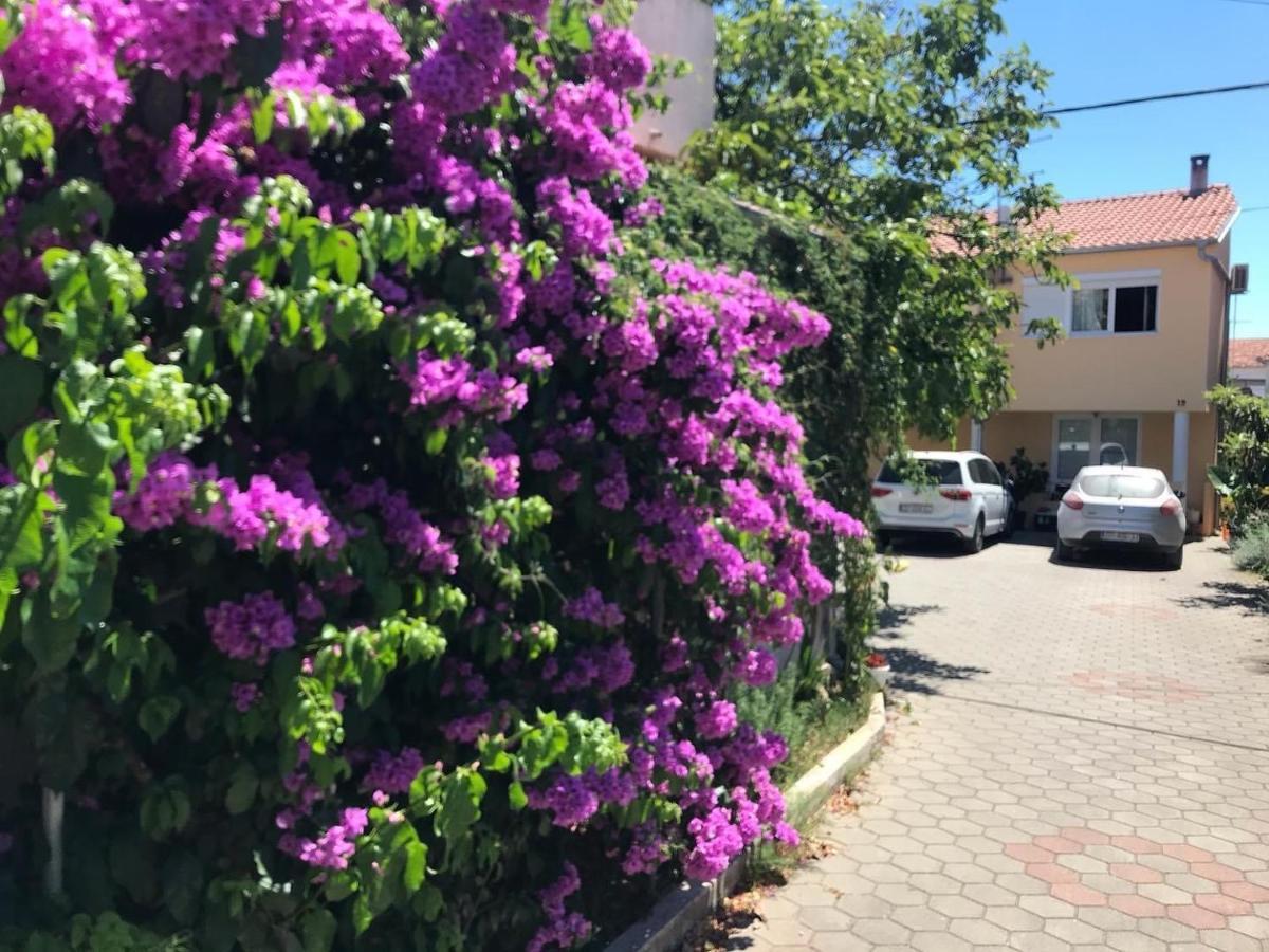 Apartament Lipo Je Zadar Zewnętrze zdjęcie