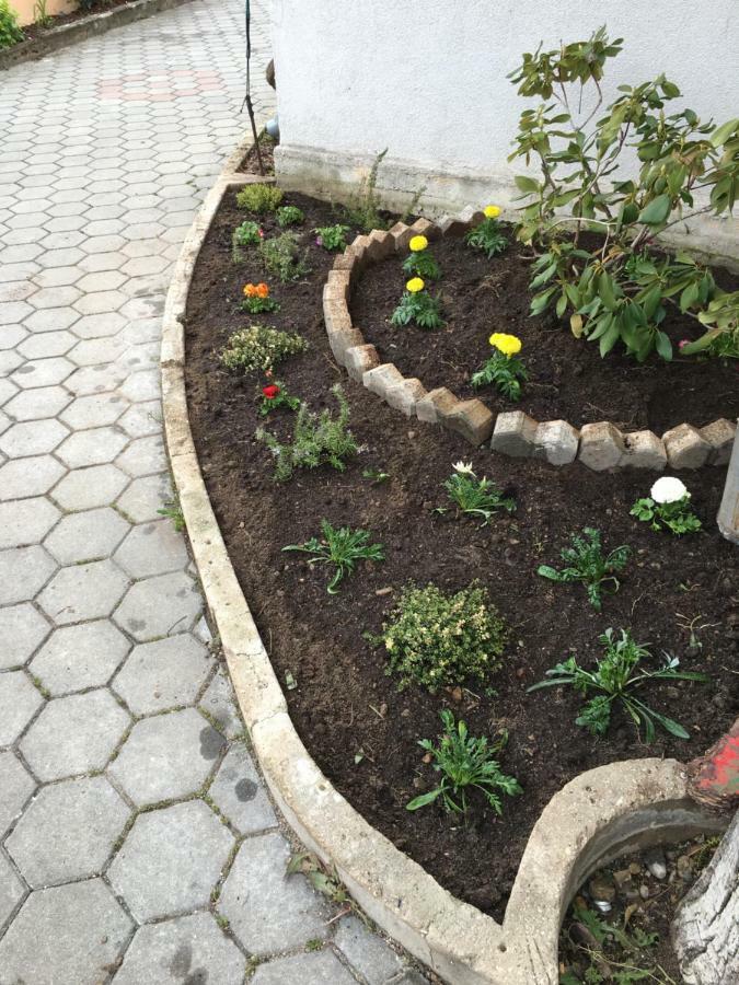 Apartament Lipo Je Zadar Zewnętrze zdjęcie